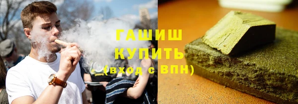 индика Абаза