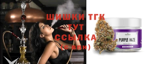 индика Абаза