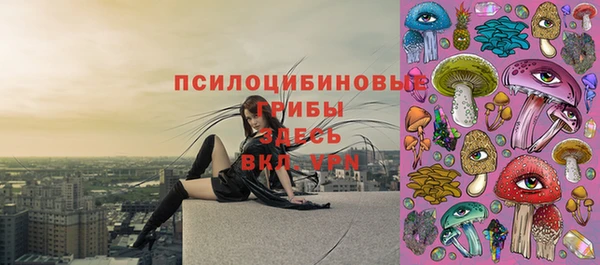 индика Абаза