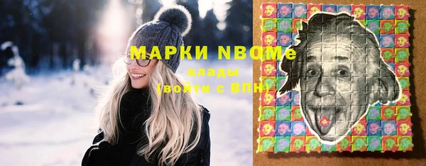 индика Абаза