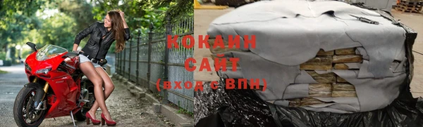 индика Абаза
