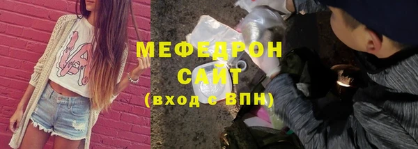 индика Абаза